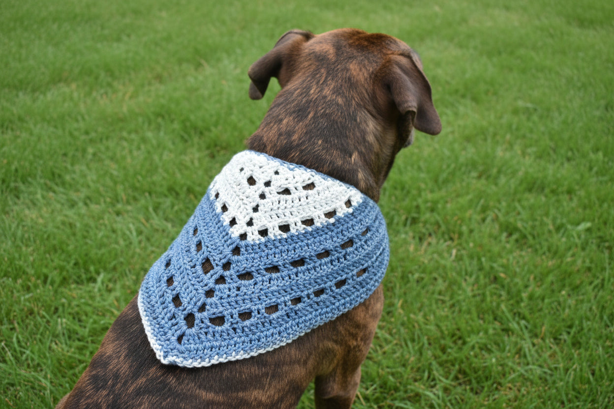 Pet Bandana