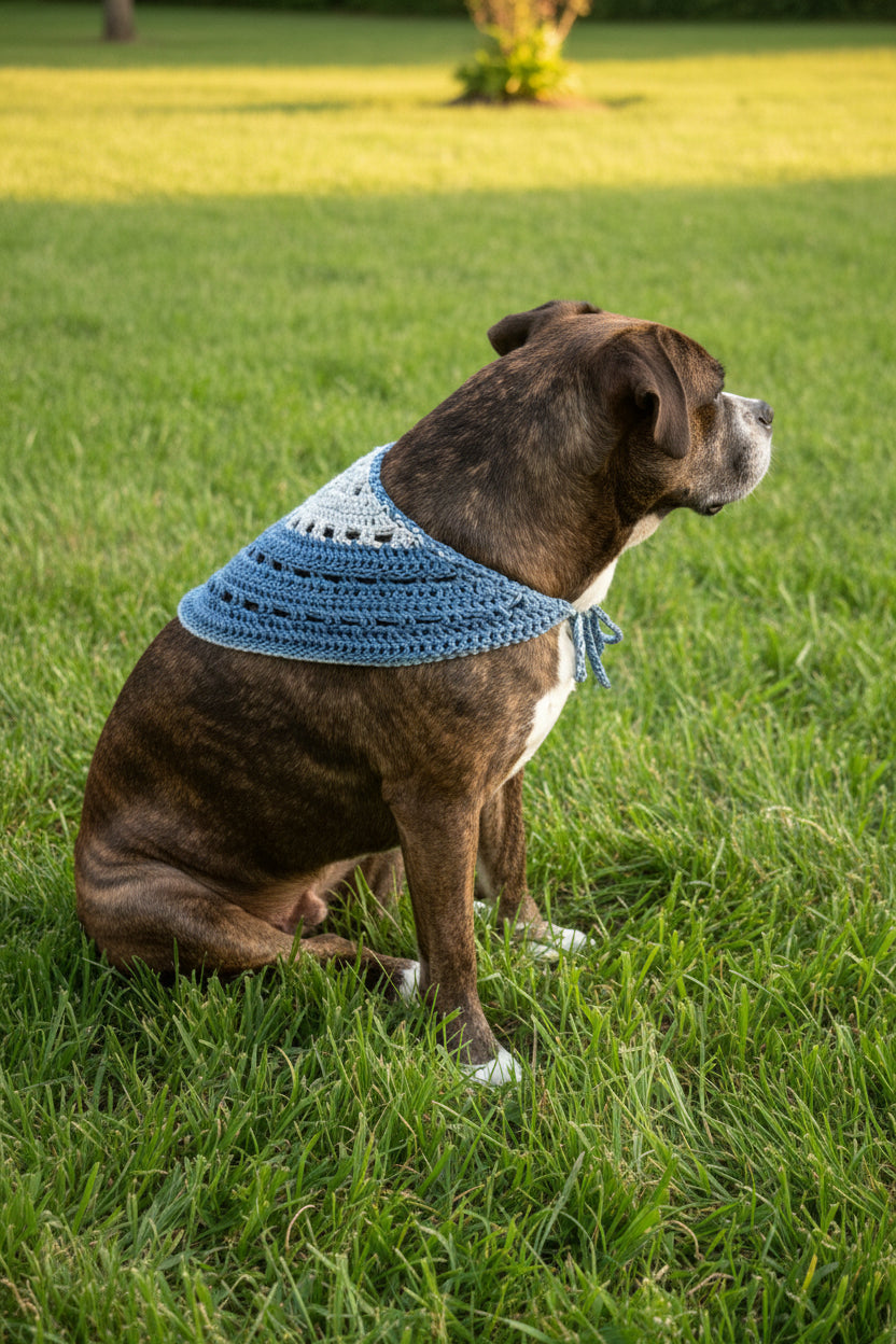 Pet Bandana